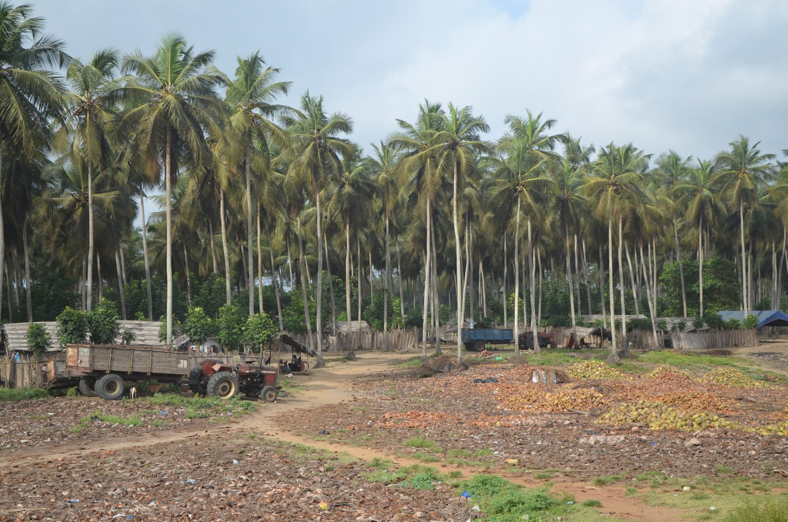 Terrain à Jacqueville 500m²